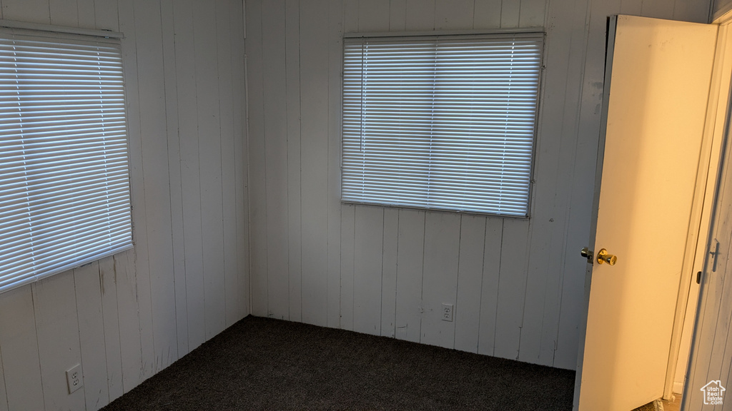 Carpeted empty room with a healthy amount of sunlight and wooden walls