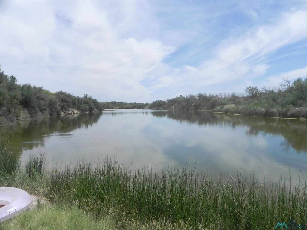 Photo #8