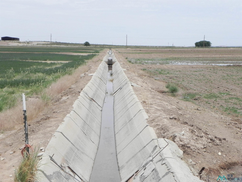 Photo #15