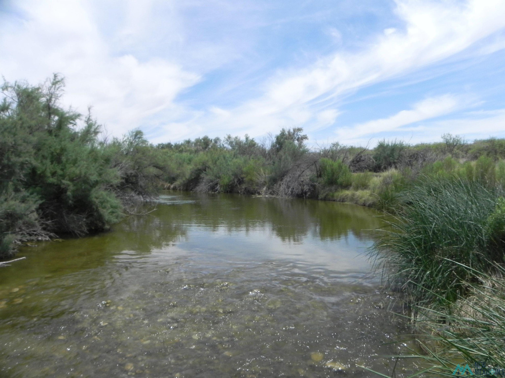 Photo #11