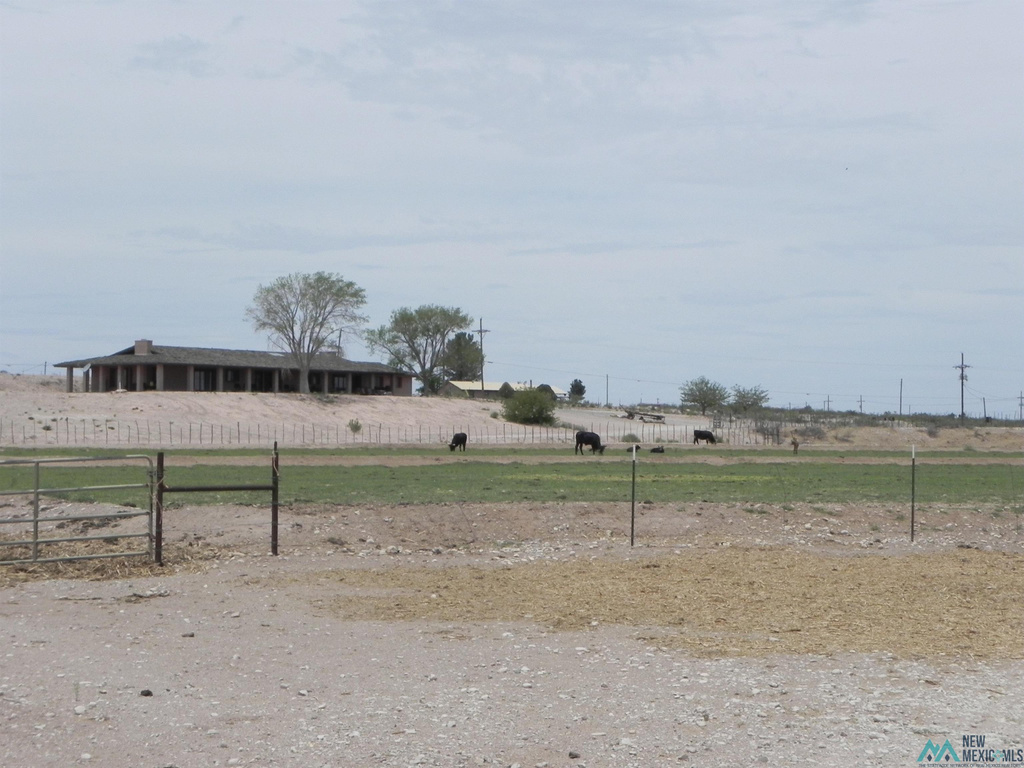 Photo #21