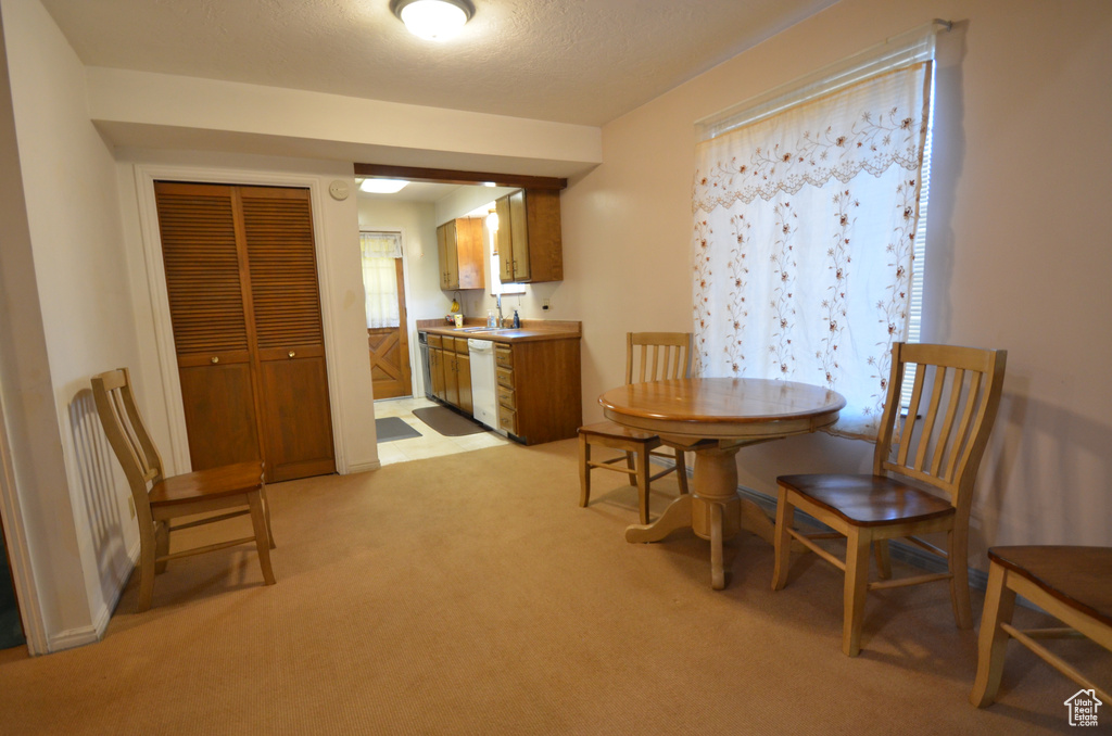 Carpeted dining area with sink and a textured ceiling