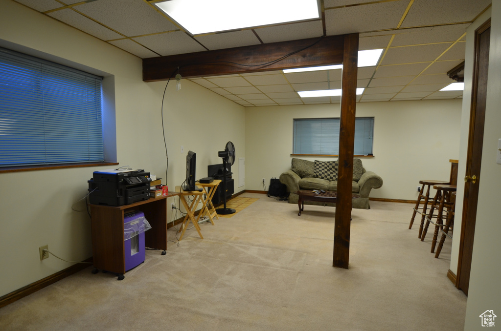 Basement featuring a drop ceiling and light carpet