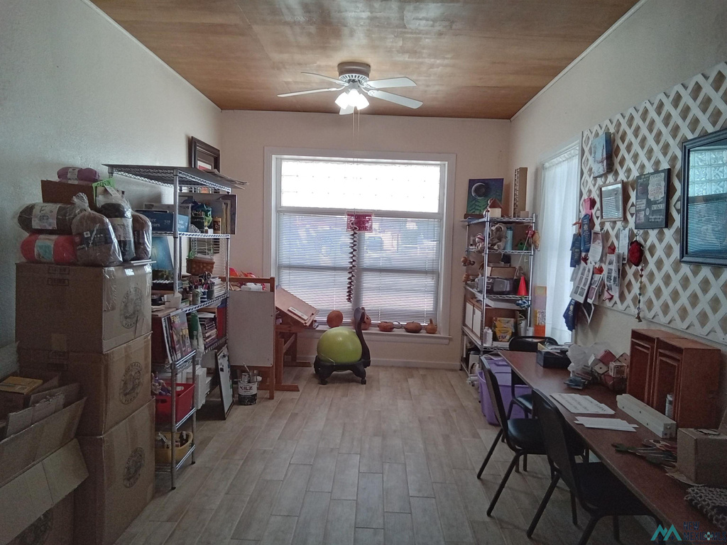 Photo #11