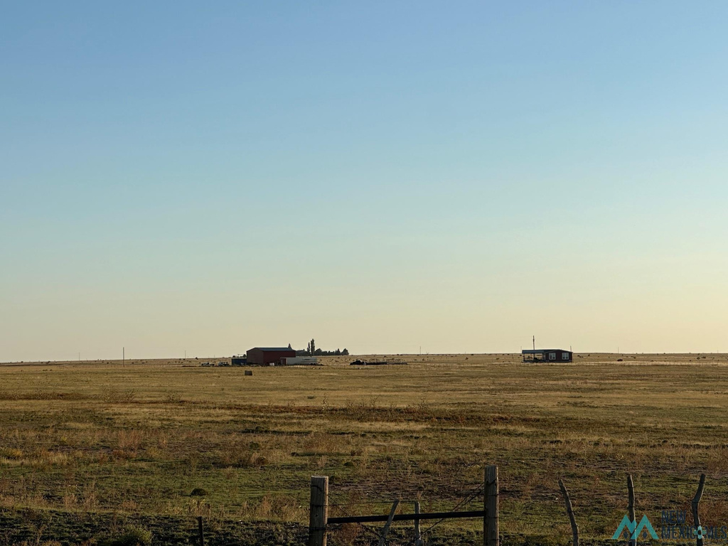 Photo #21
