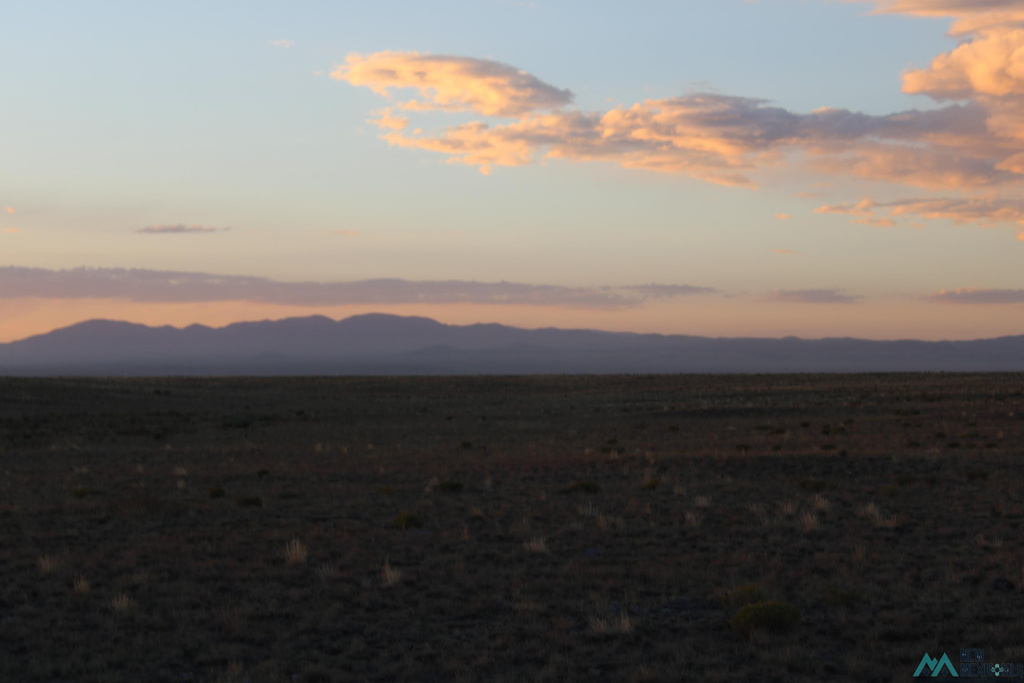 Photo #5
