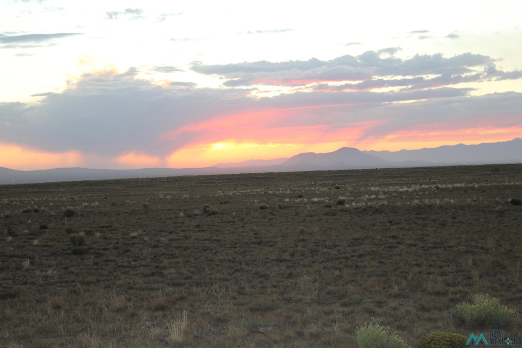Photo #2