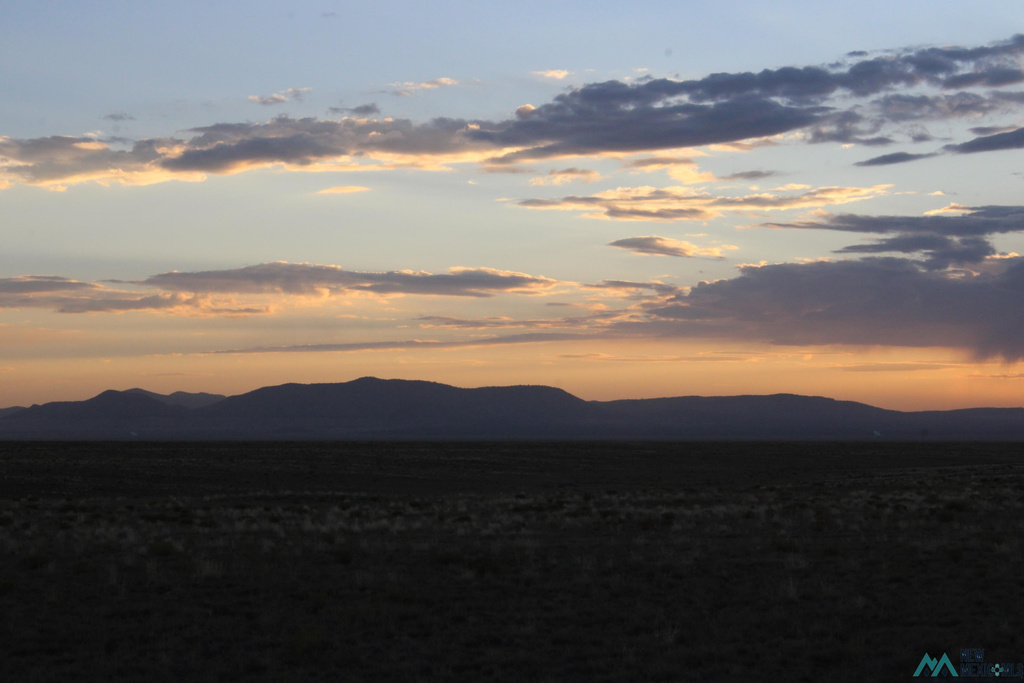 Photo #4