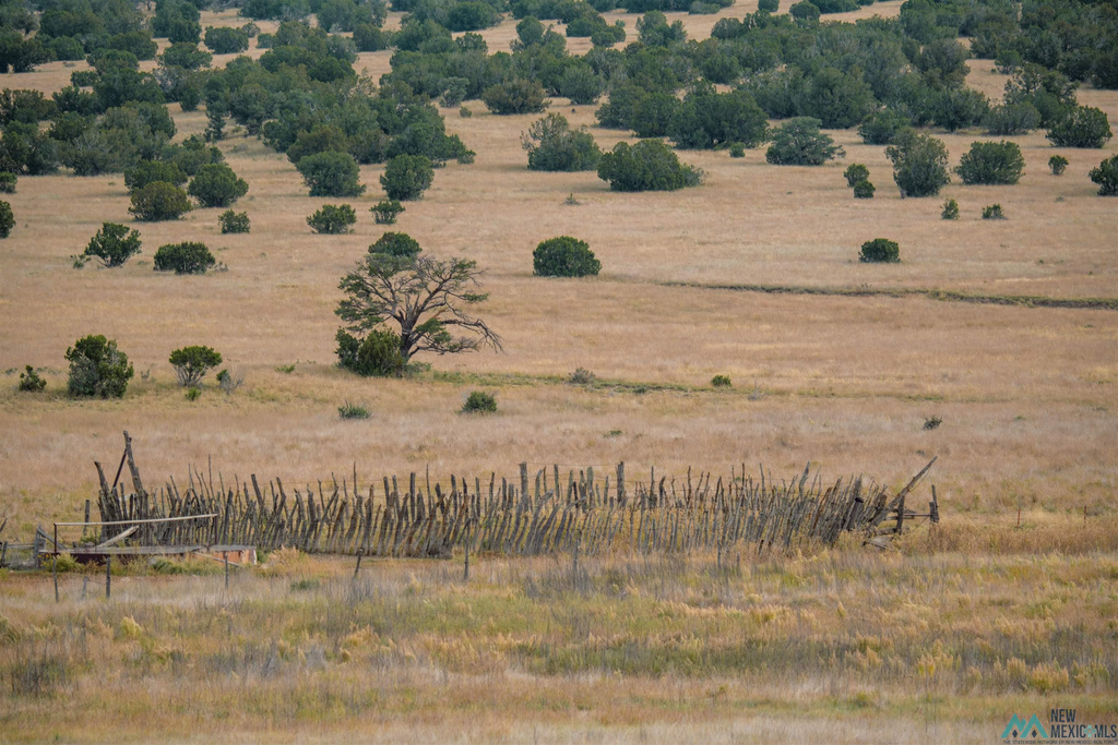 Photo #31