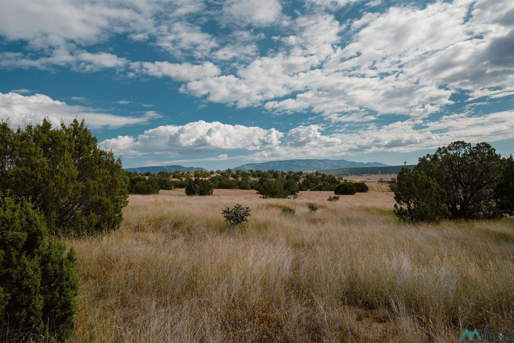 Photo #44