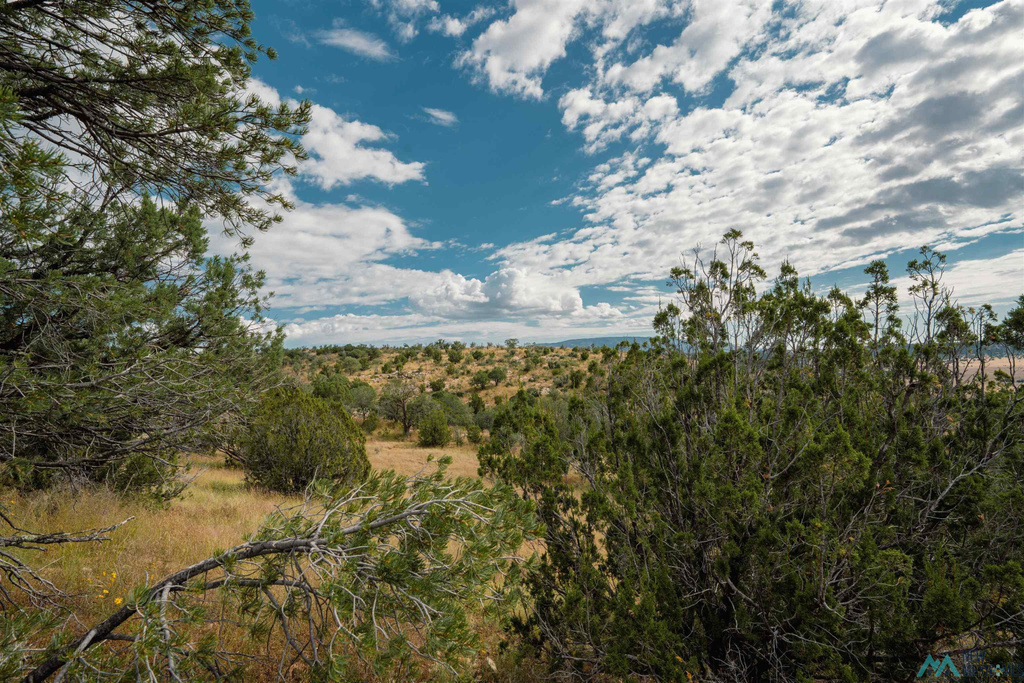Photo #43