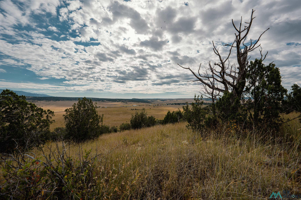 Photo #30