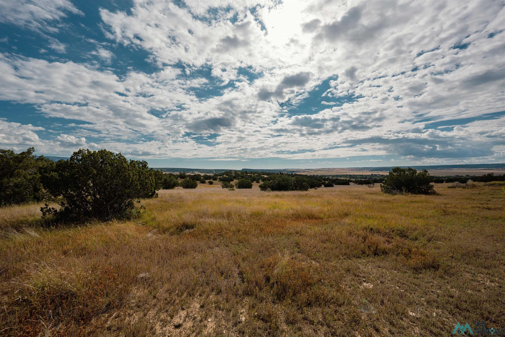 Photo #45