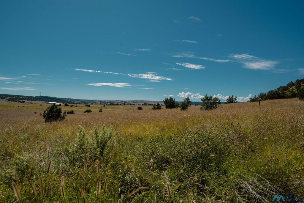 Photo #17