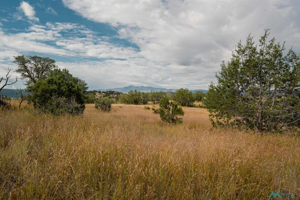 Photo #36