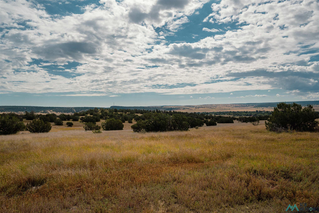 Photo #48
