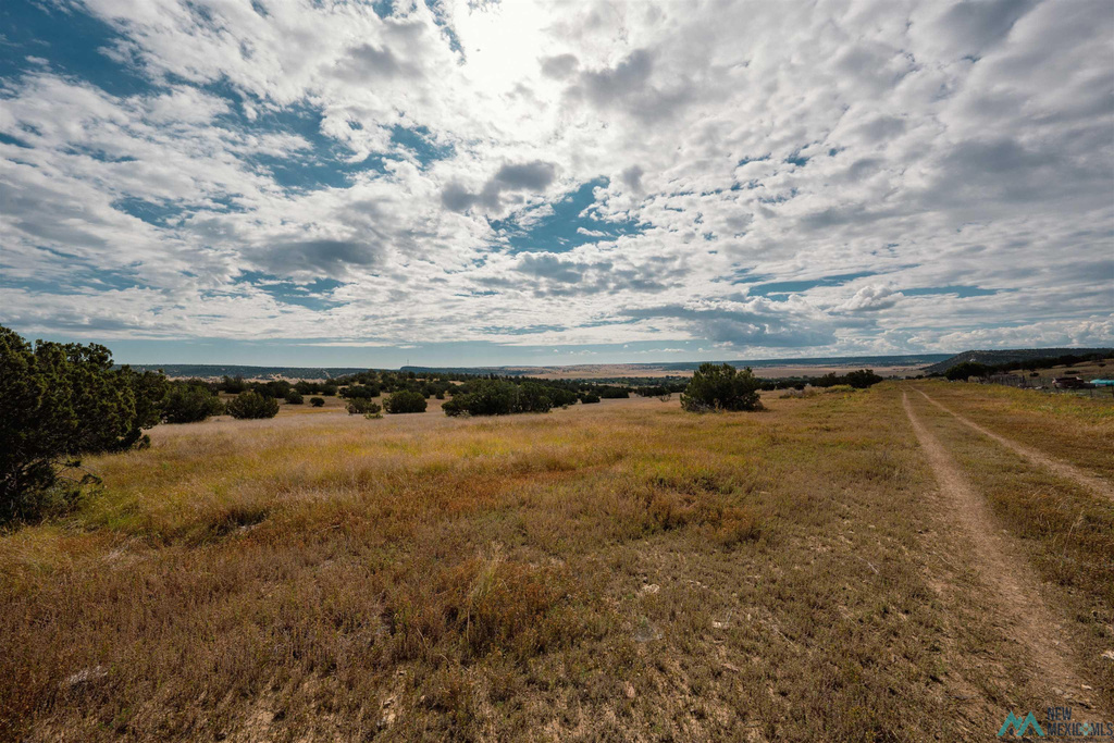 Photo #47