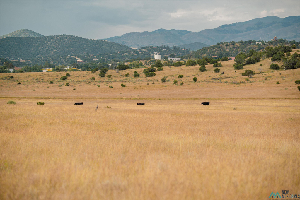 Photo #29