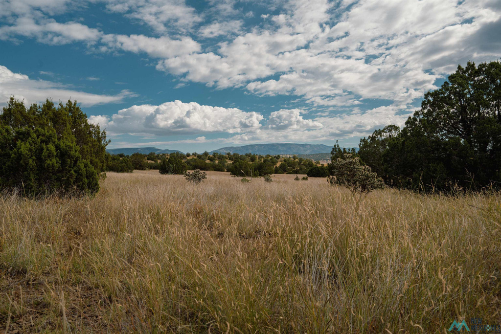 Photo #46