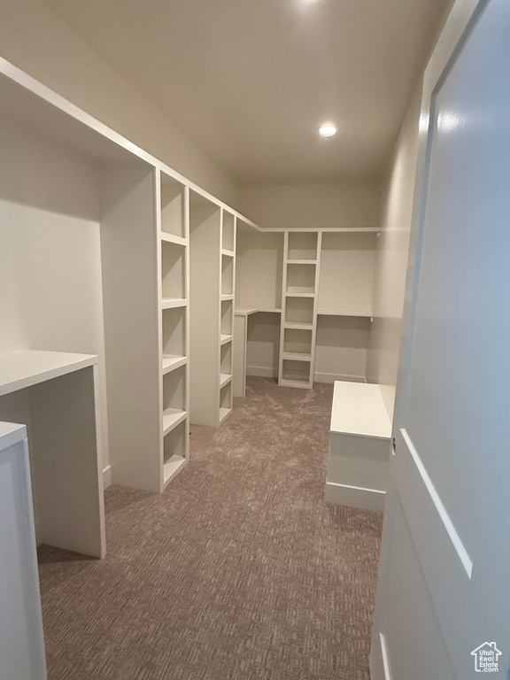 Spacious closet with dark colored carpet