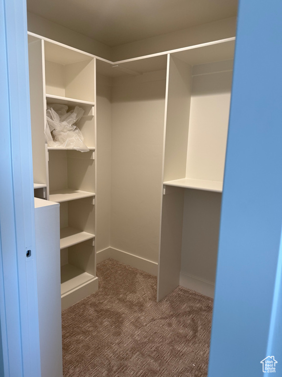 Spacious closet with carpet