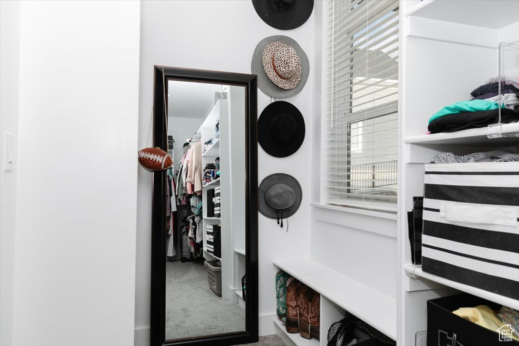 Mudroom featuring carpet