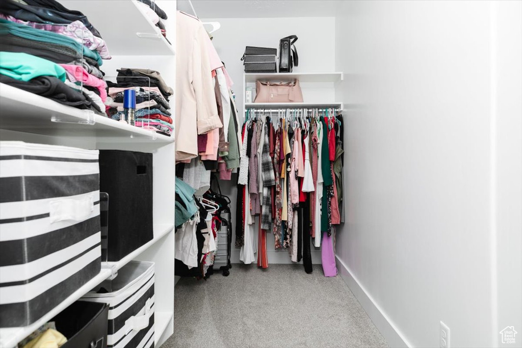 Spacious closet featuring carpet flooring