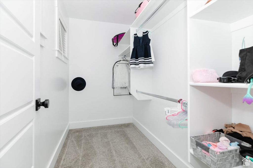 Spacious closet featuring light colored carpet