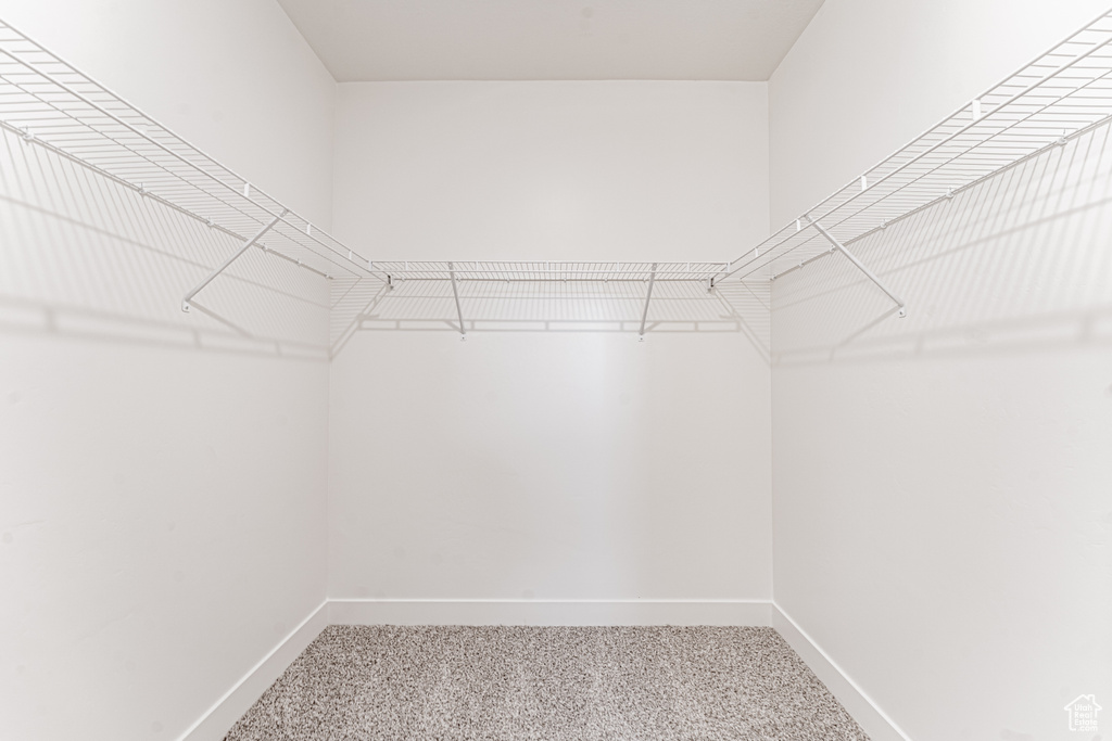 Spacious closet featuring carpet flooring