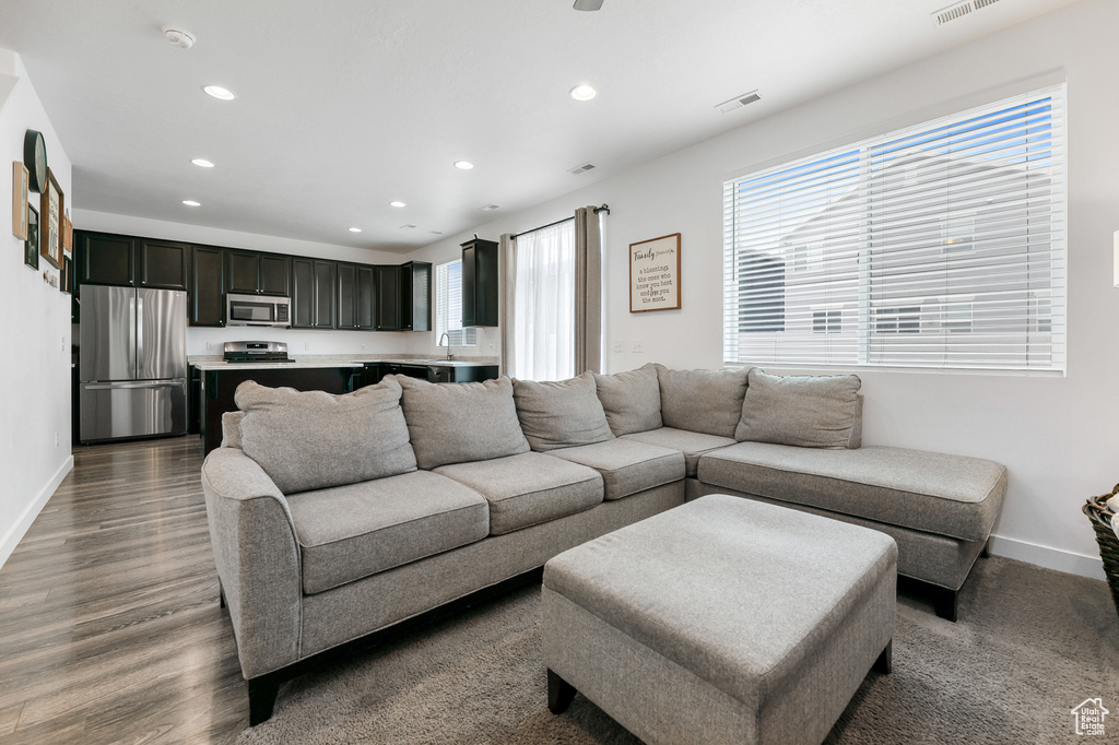 Living room featuring dark hardwood / wood-style floors and sink