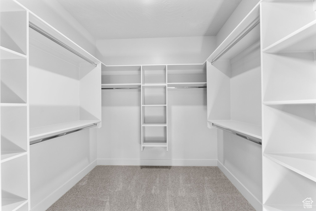 Spacious closet featuring carpet flooring