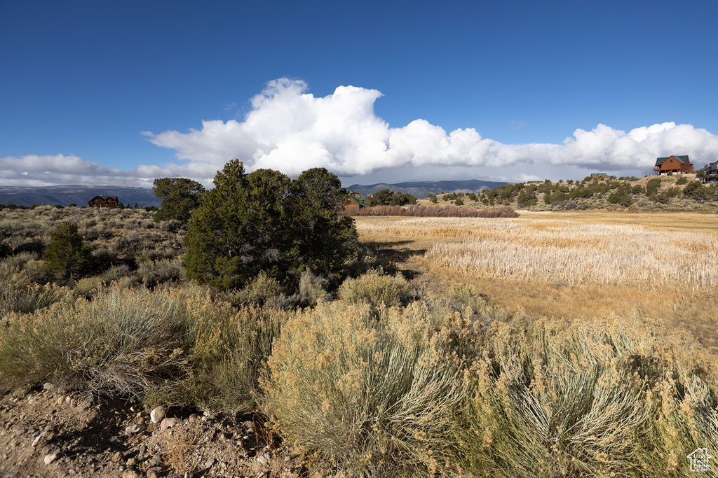 View of nature featuring a rural view