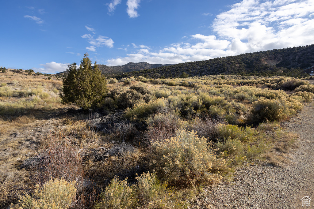 View of mountain feature