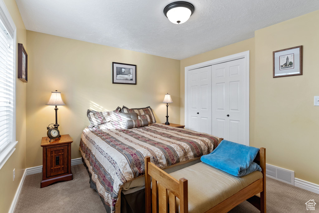 Bedroom featuring multiple windows, a closet, and carpet floors