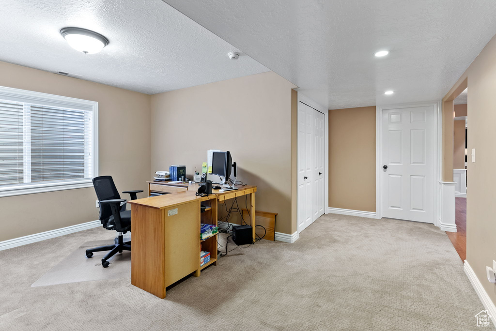 Office area featuring light colored carpet and a textured ceiling