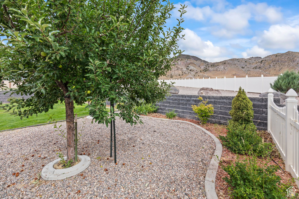 View of yard featuring a mountain view