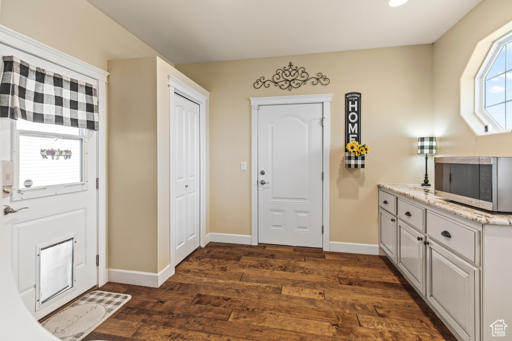 Entrance foyer with dark hardwood / wood-style flooring