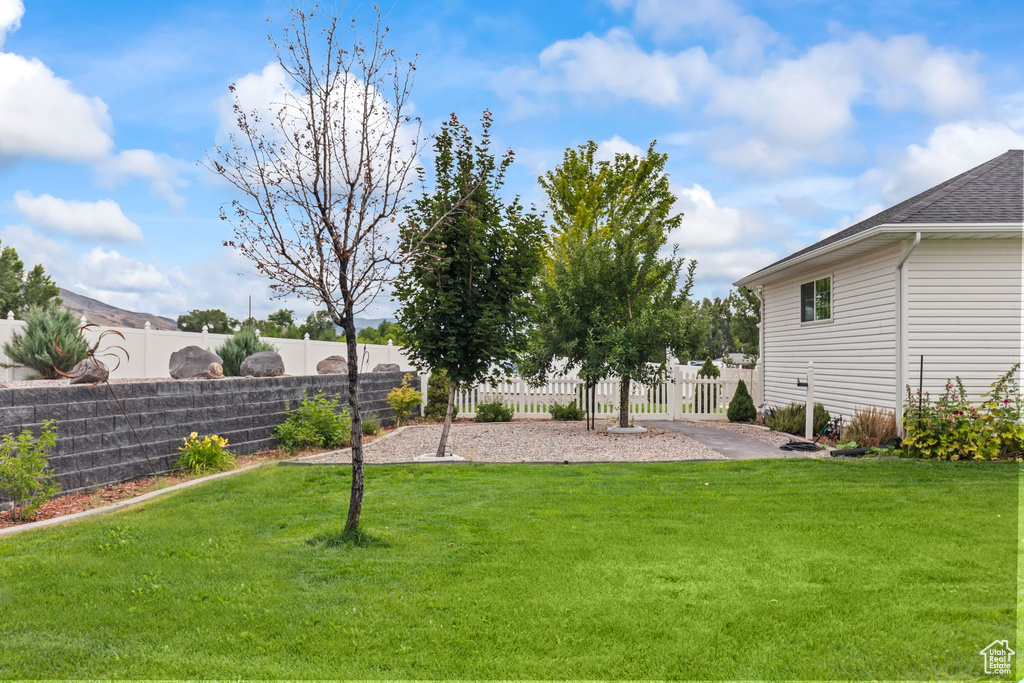 View of fenced backyard