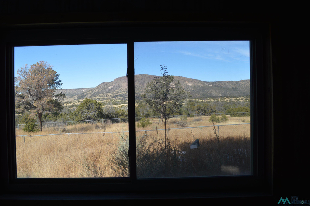 Photo #33