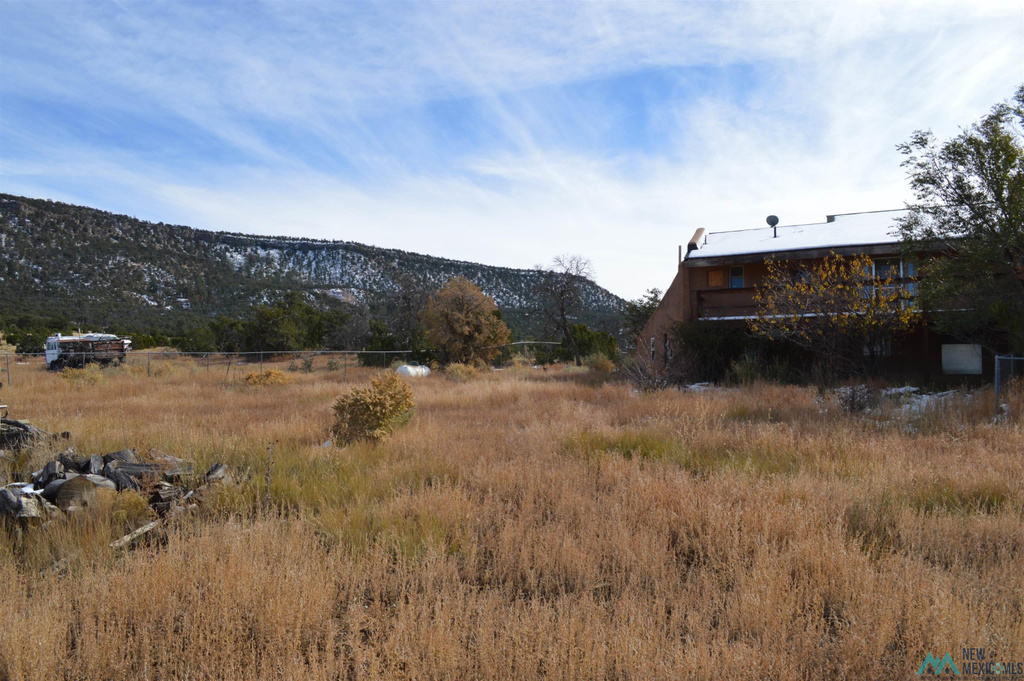 Photo #89