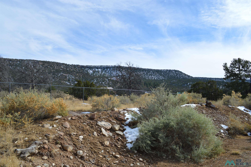 Photo #39