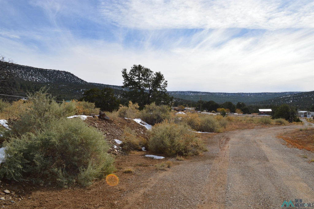 Photo #40