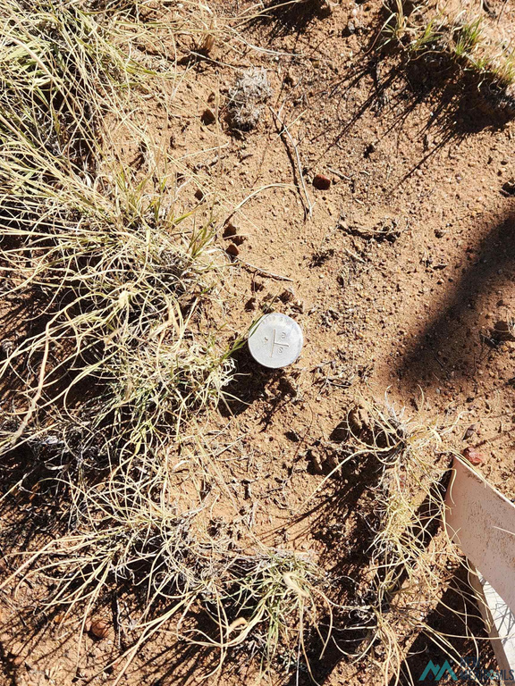 Photo #49