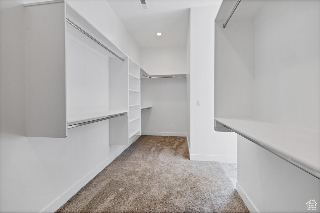 Spacious closet featuring carpet floors