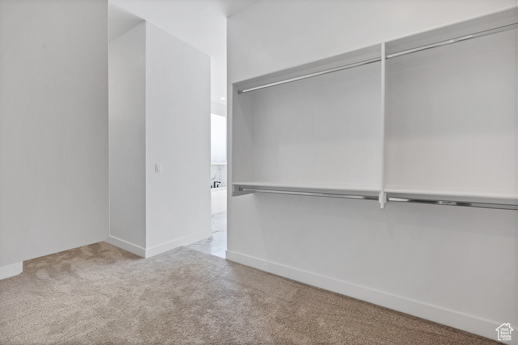 Walk in closet featuring carpet
