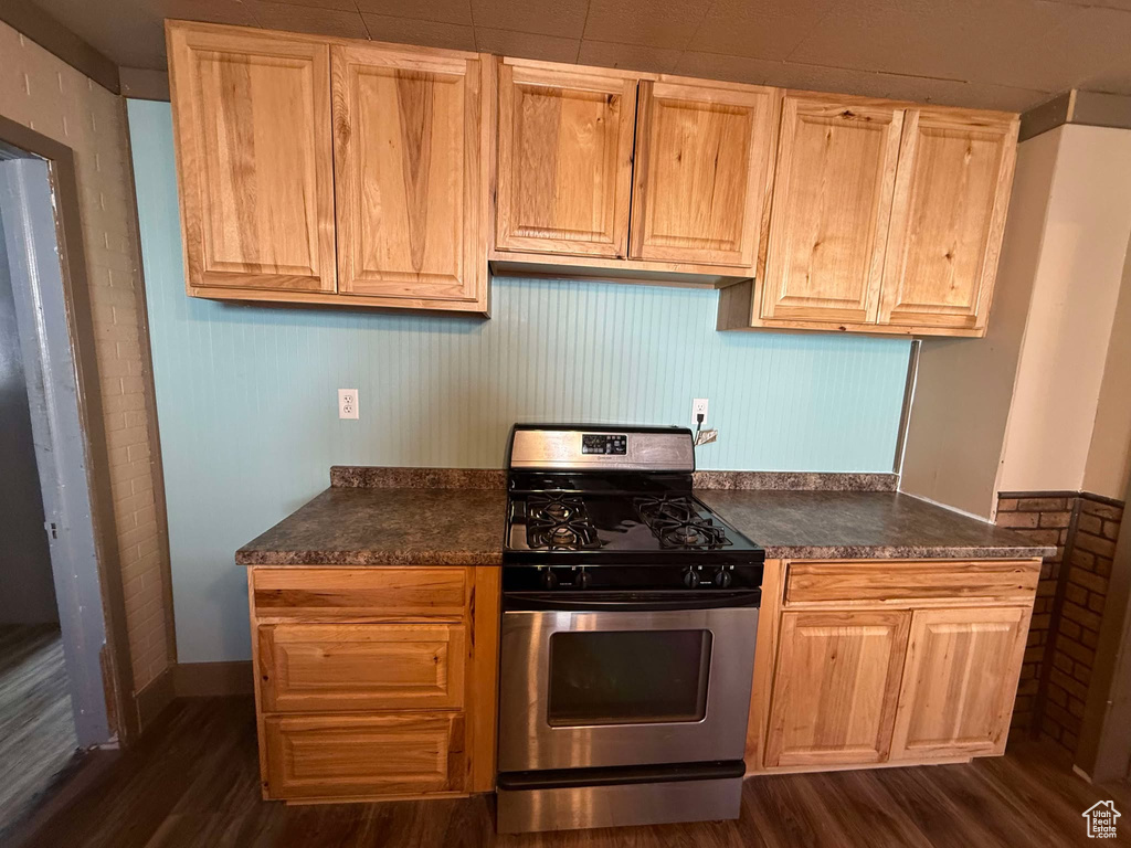 Kitchen with dark wood-type flooring and stainless steel gas stove