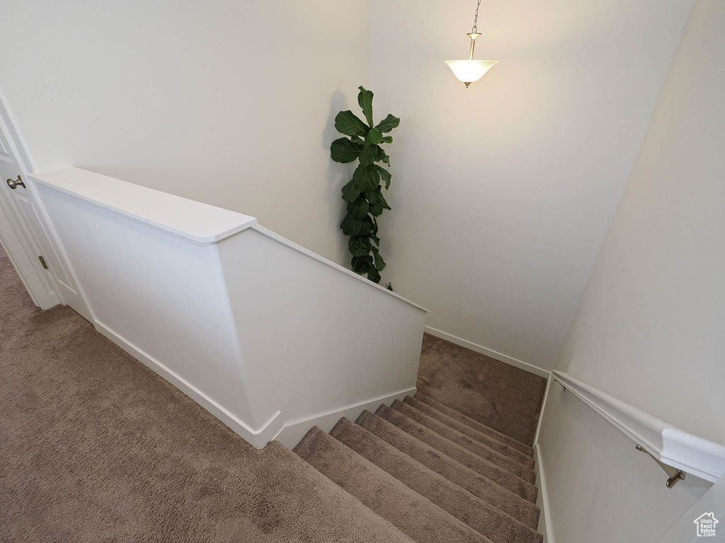 Stairway with carpet floors