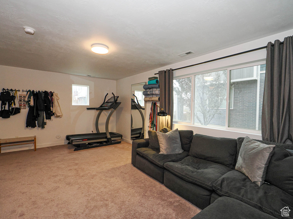 View of carpeted living room