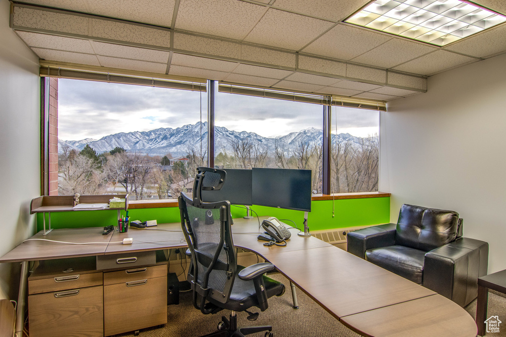 View of carpeted office
