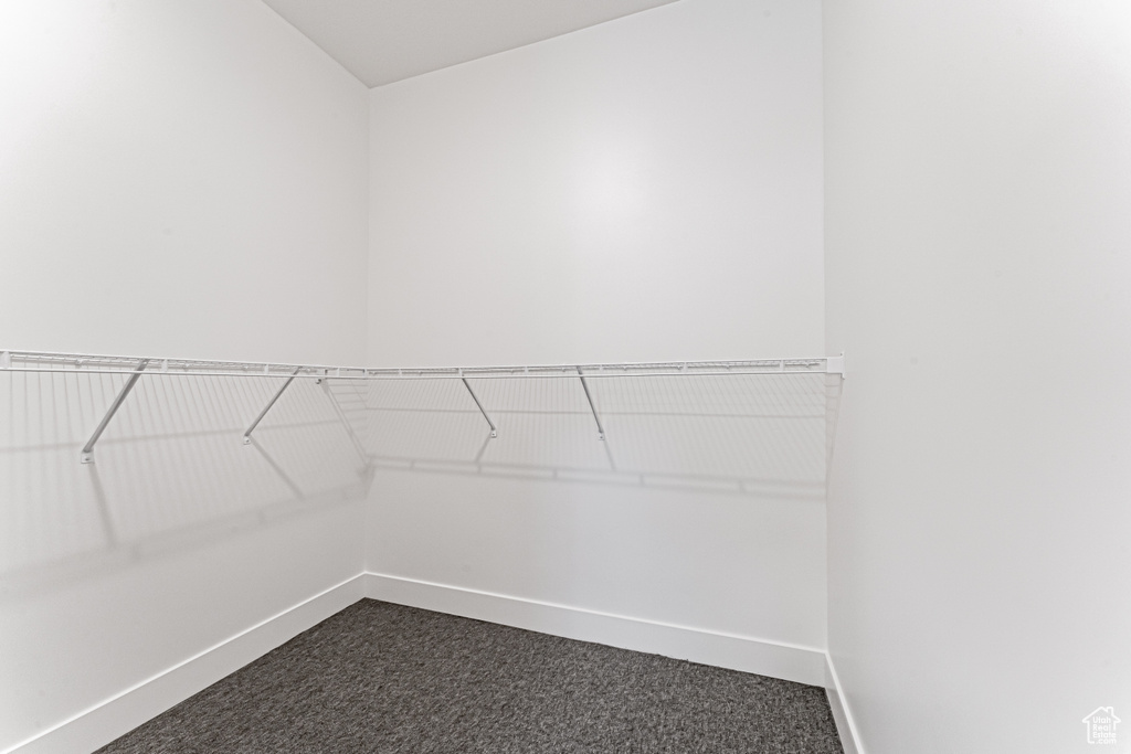 Walk in closet featuring dark colored carpet